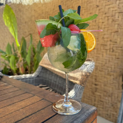 verre à gin - verre à cocktail - location