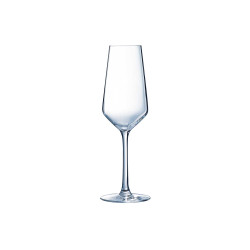 location flûte à champagne - 23 cl